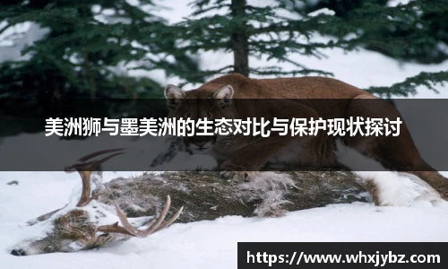 6686体育官网