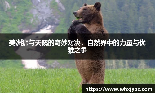 6686体育官网